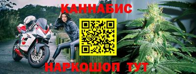 гидра Шадринск
