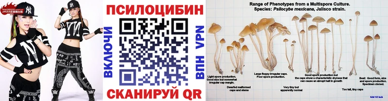 KRAKEN ссылки  Альметьевск  Псилоцибиновые грибы ЛСД 