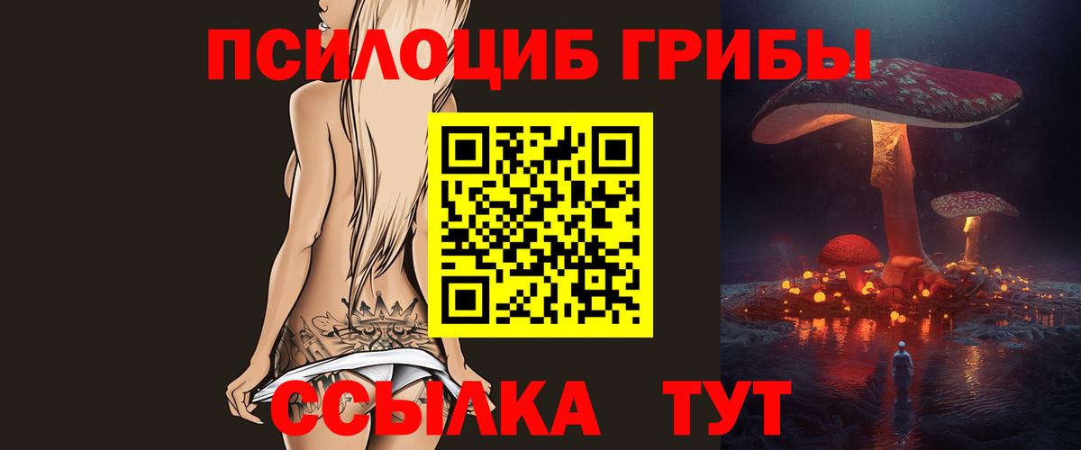 Псилоцибиновые грибы GOLDEN TEACHER Альметьевск